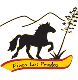 Ein Bild, das Text enth�lt.

Automatisch generierte Beschreibung